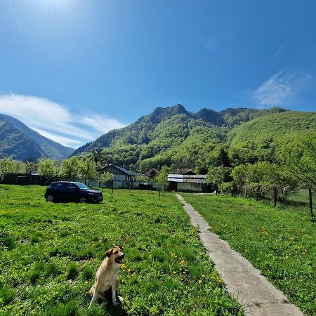 Green Nest Брезой Экстерьер фото